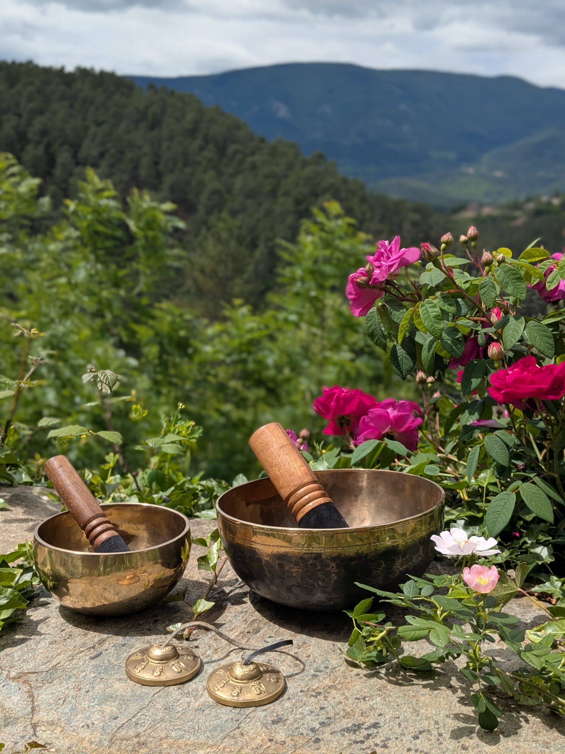 deux bols tibétains et des tingshas utilisés pendant la méditation et la relaxation sonore d'un atelier bien être devant les montagnes d'ardèche